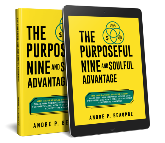 The Purposeful Nine and Soulful Advantage Book Cover